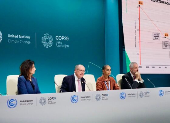 Brasil COP29 - meta de redução de emissões