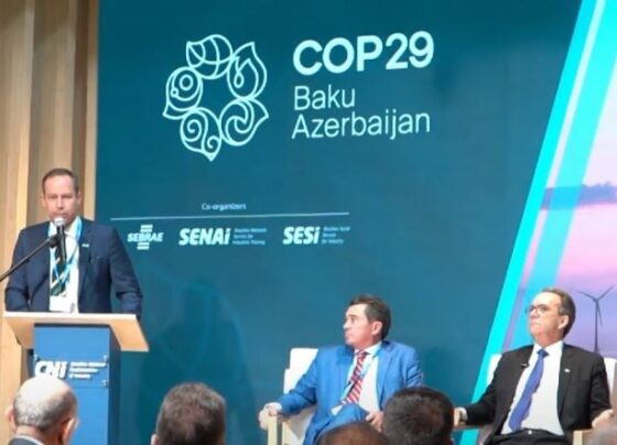 COP29