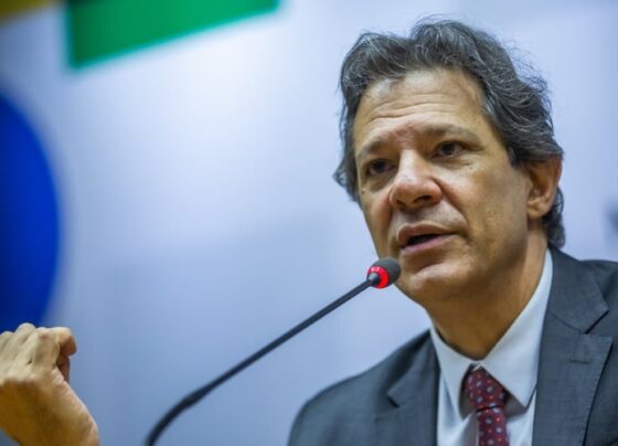 fernando haddad, Plano Safra