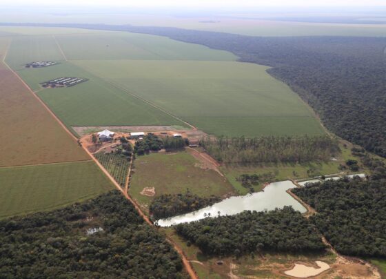 Fazenda Águas de Chapecó, em Nova Mutum (MT), imóveis rurais