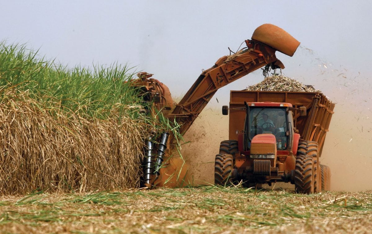 cana-de-açúcar, produção, etanol, biocombustível