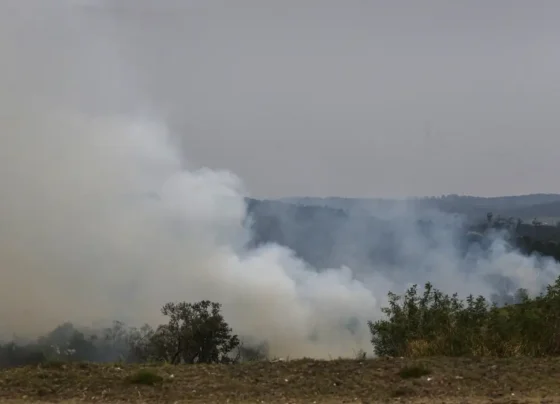 INCÊNDIO CERRADO