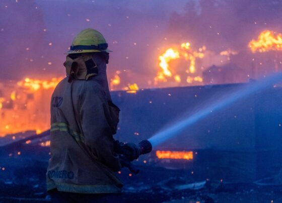 Bombeiro combate chamas no incêndio na região de Pacific Palisades em Los Angeles