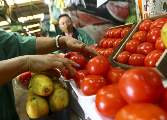 Vendedores e frequentadores na Feira da Ceilândia. Foto: Marcelo Camargo/Agência Brasil