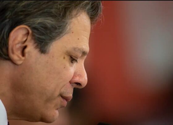 Fernando Haddad